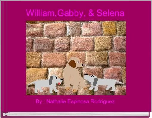 Front cover of 'William,Gabby, & Selena' 