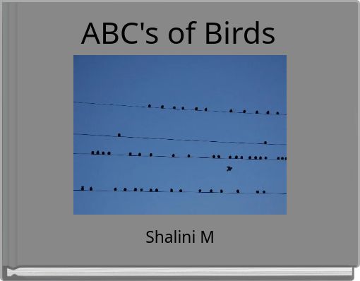 ABC's of Birds
