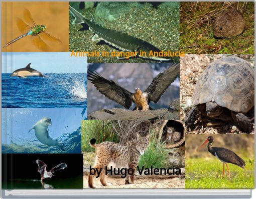 Animals in danger in Andalucía