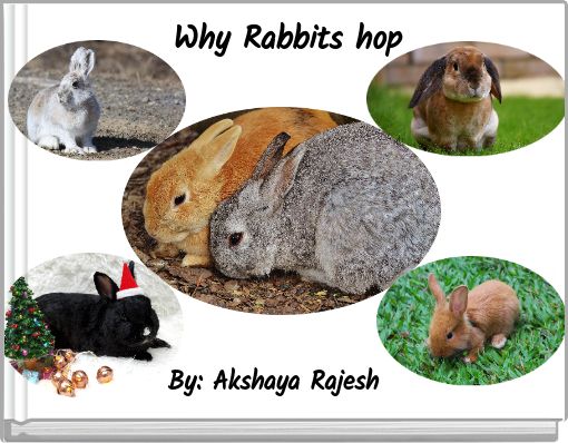 Front cover of 'Why Rabbits hop' 