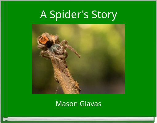 Book Cover for: A Spider's Story