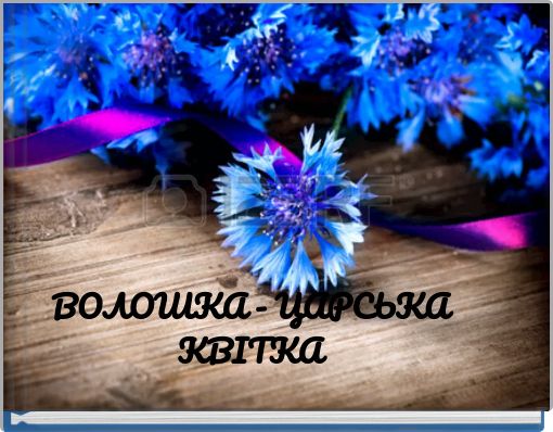 ВОЛОШКА - ЦАРСЬКА КВІТКА