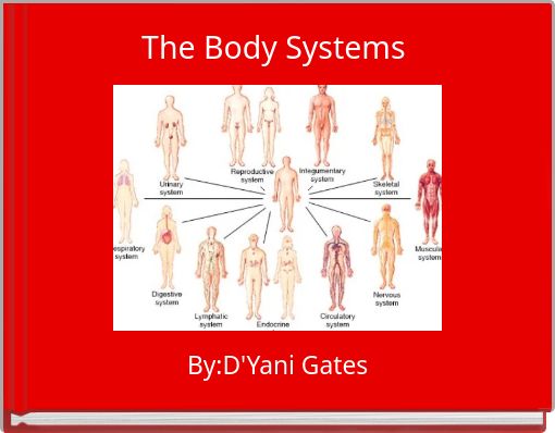 The Body Systems