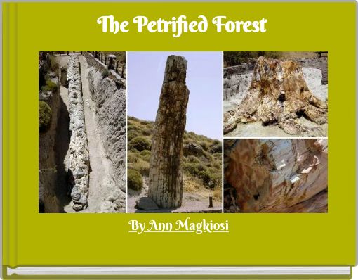 The Petrified Forest