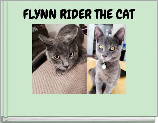 FLYNN RIDER THE CAT