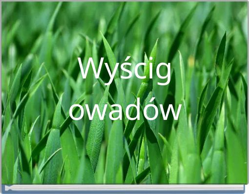 Wyścig owad&oacute;w