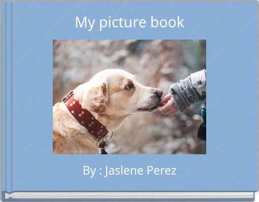 My picture book