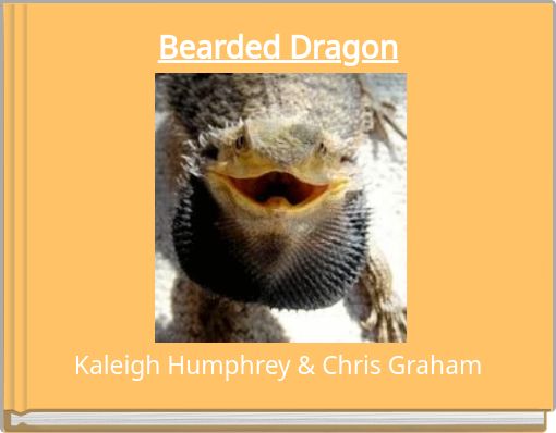 Bearded Dragon