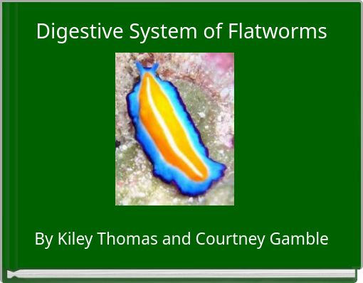 Digestive System of Flatworms