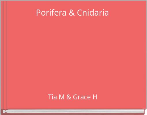 Porifera & Cnidaria