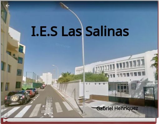 I.E.S Las Salinas