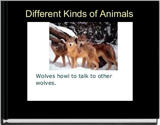 Different Kinds of Animals