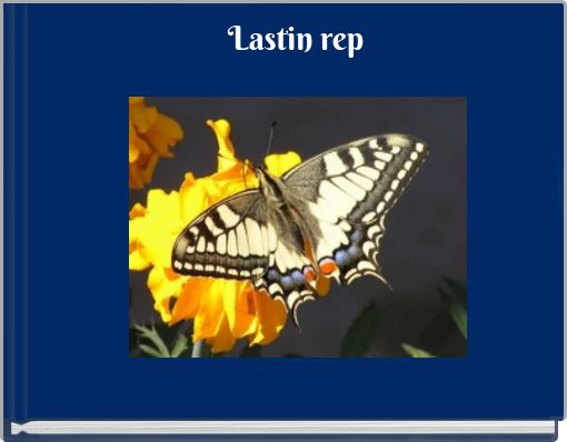 Book Cover for: Lastin rep