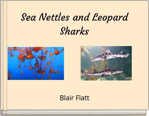 Sea Nettles and Leopard Sharks