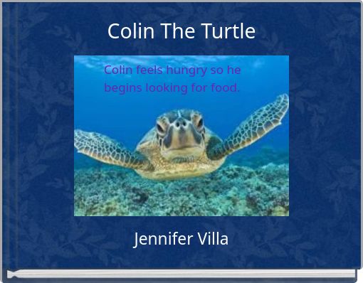 Colin The Turtle