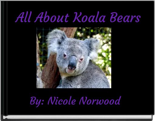All About Koala Bears