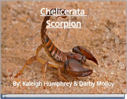Chelicerata Scorpion
