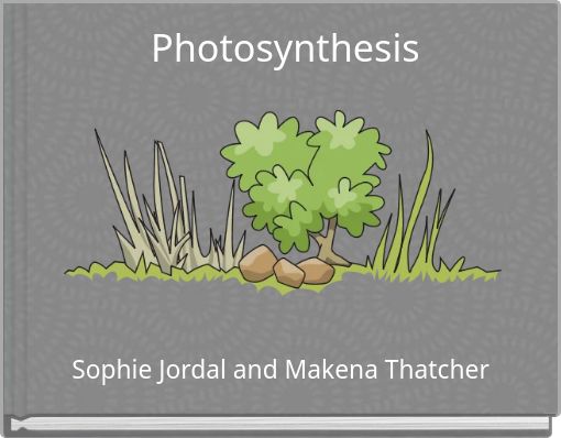 Photosynthesis