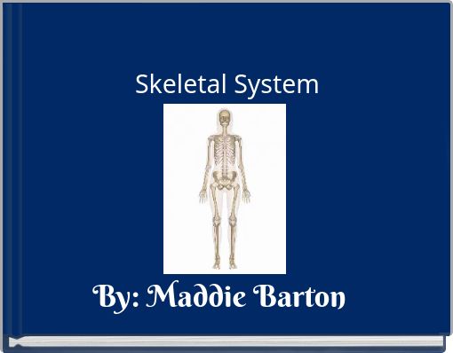 Skeletal System