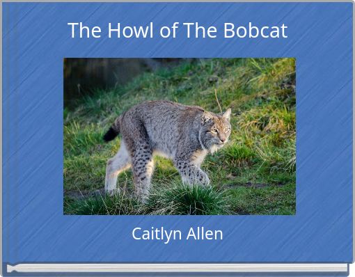 Front cover of 'The Howl of The Bobcat' 