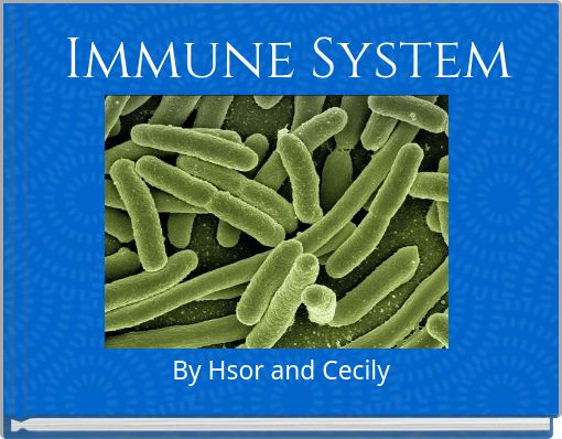 Immune System