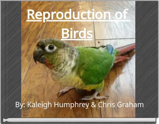 Reproduction of Birds