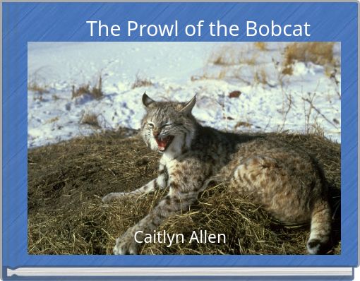 Front cover of 'The Prowl of the Bobcat' 