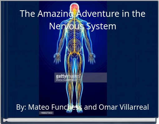 The Amazing Adventure in the Nervous System