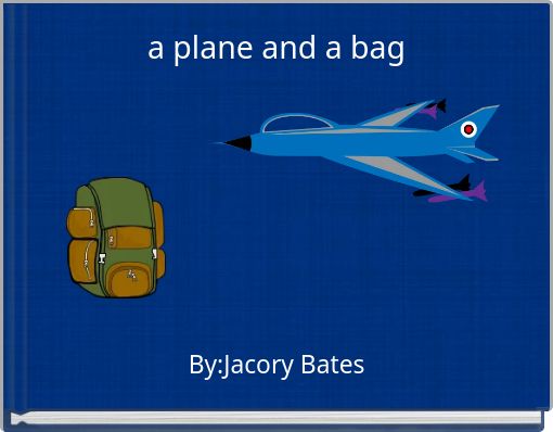 Front cover of 'a plane and a bag' 