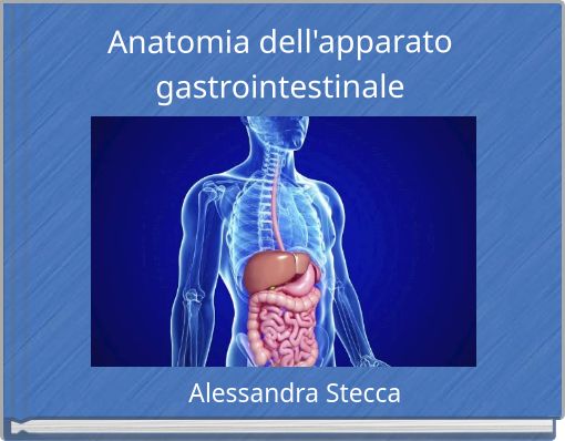 Anatomia dell'apparato gastrointestinale