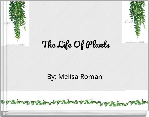 The Life Of Plants