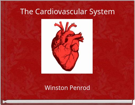 The Cardiovascular System