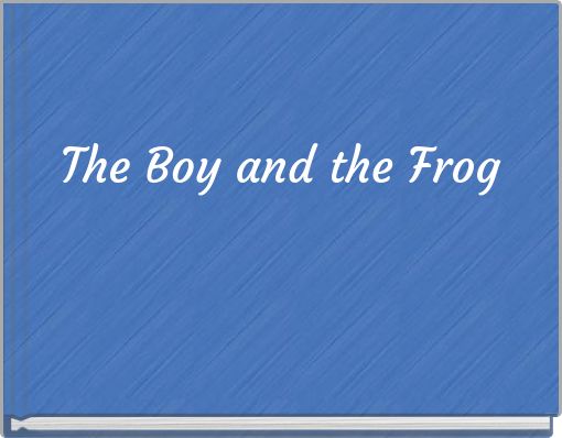 Front cover of 'The Boy and the Frog' 