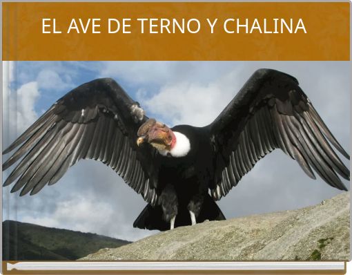 EL AVE DE TERNO Y CHALINA