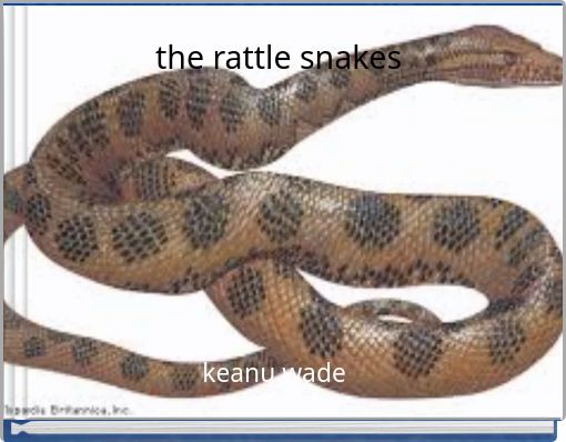 the rattle snakes