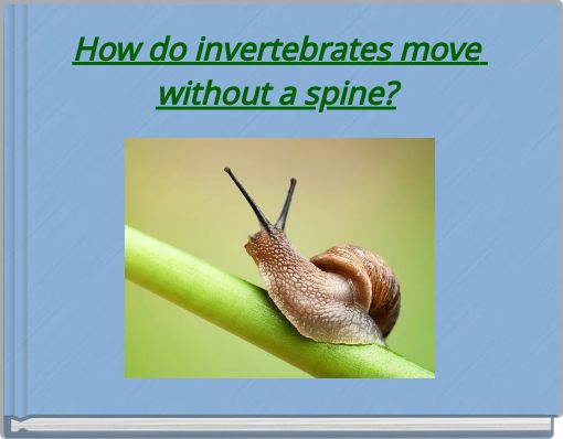 How do invertebrates move without a spine?