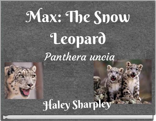 Front cover of 'Max: The Snow Leopard Panthera uncia' 