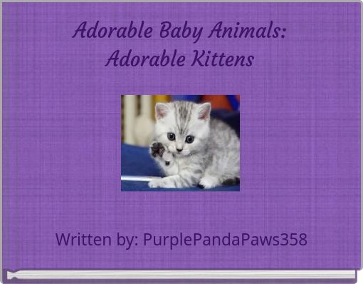 Front cover of 'Adorable Baby Animals: Adorable Kittens' 