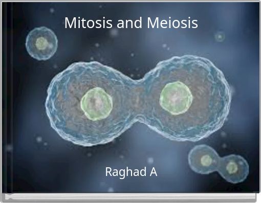 Mitosis and Meiosis