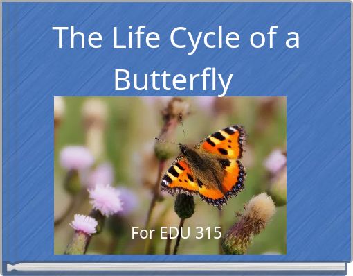 The Life Cycle of a Butterfly