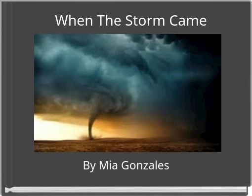 Front cover of 'When The Storm Came' 