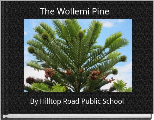 The Wollemi Pine
