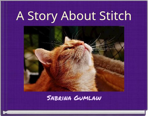 Front cover of 'A Story About Stitch' 