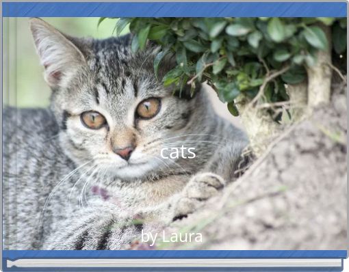 Front cover of 'cats' 