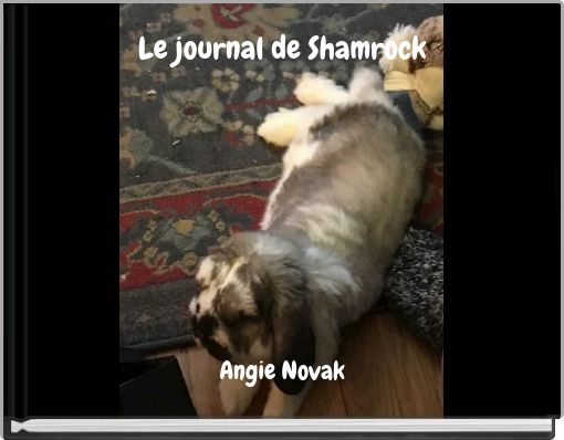 Front cover of 'Le journal de Shamro﻿ck' 