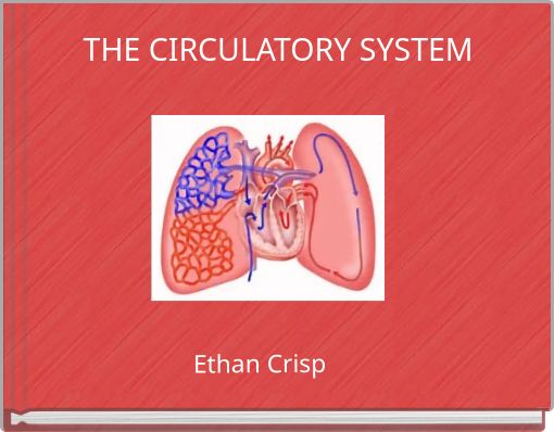 THE CIRCULATORY SYSTEM