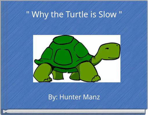" Why the Turtle is Slow "
