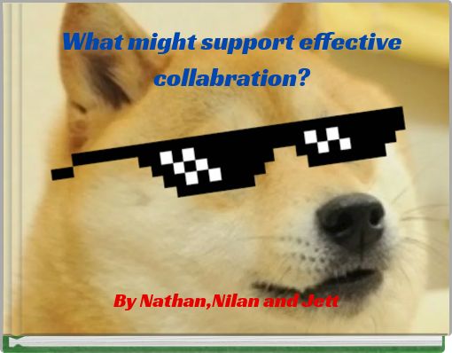 What might support effective collabration?