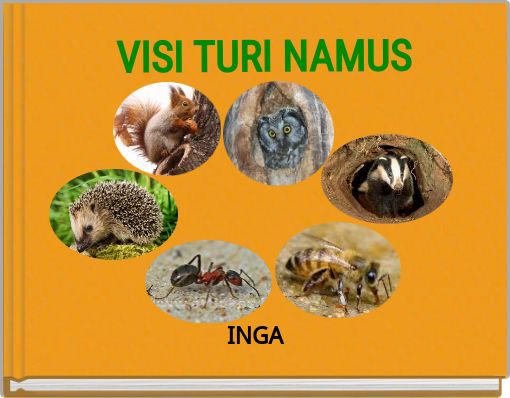 VISI TURI NAMUS