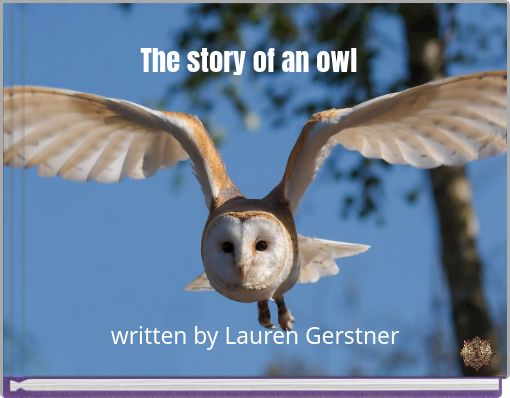 The story of an owl